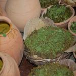 Vraj-Yatra-2014- (887)